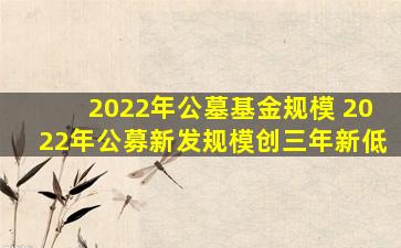 2022年公墓基金规模 2022年公募新发规模创三年新低
